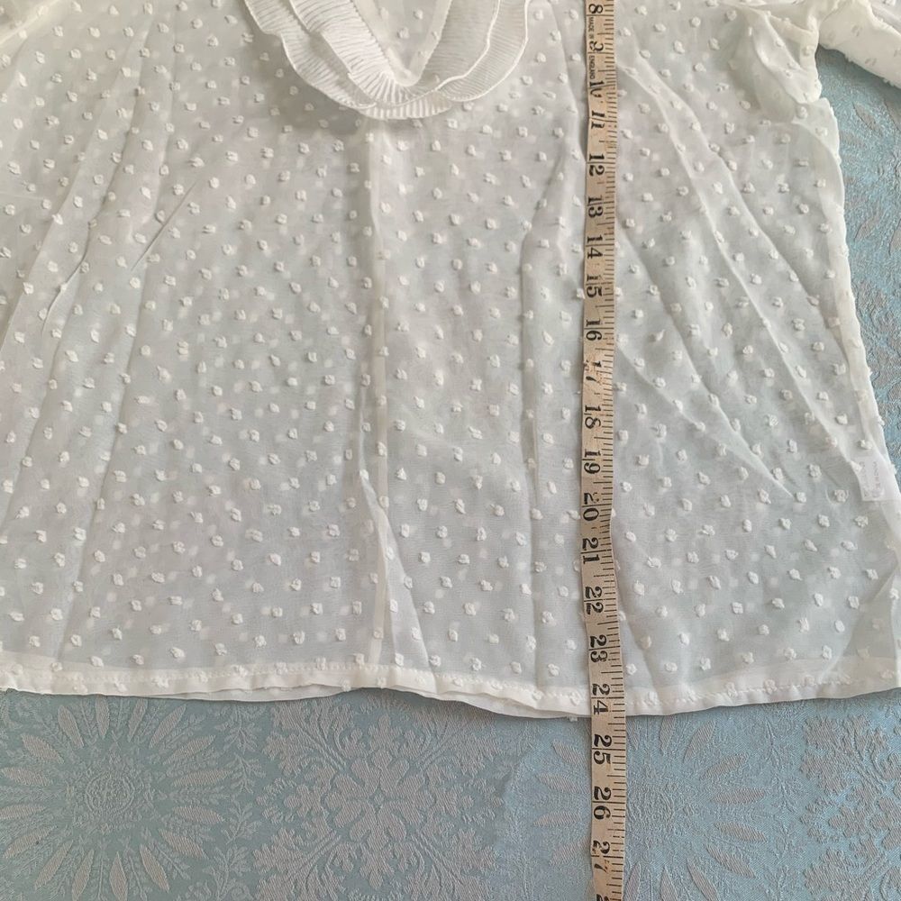 Beautiful Sheer Blouse - Picture 7 of 7